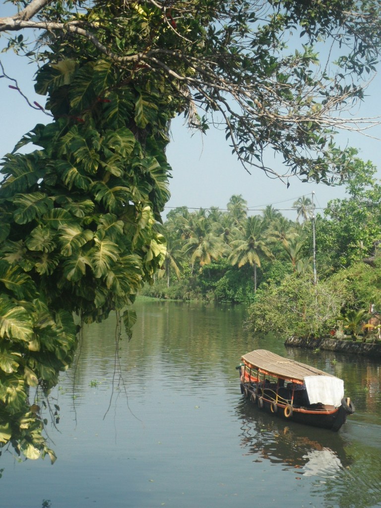 The backwaters or Kerala - Travellingminstrel #